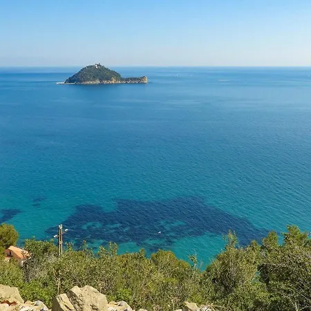 Origano 7 Boissano